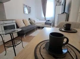 CozyCentralApartment
