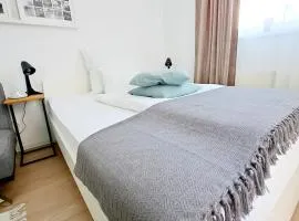 CozyCentralApartment