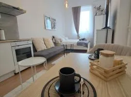 CozyCentralApartment