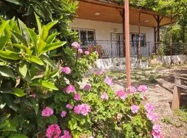Olympos Orange Village Nature, Sea and You