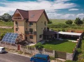 Casa Violeta-fara copii