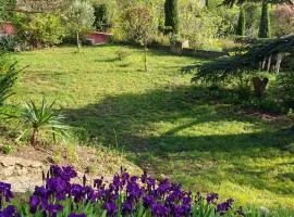 chambre d'hote de charme "Villa les Iris" proche centre ville