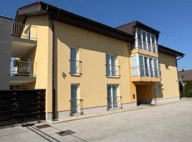 Apartma Moravske Toplice 6