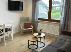 RheinSchatz Apartment 4