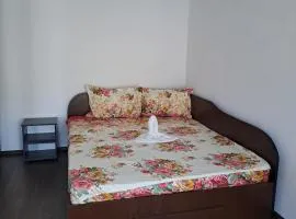 Ionuț residence
