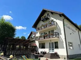 Căsuța de lângă izvor