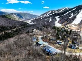 Hiking Galore: Mittersill Townhome in Franconia!