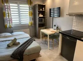 Charmant studio Créteil proche Paris, Disneyland, hôpitaux, aéroports