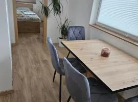 Apartma Zora