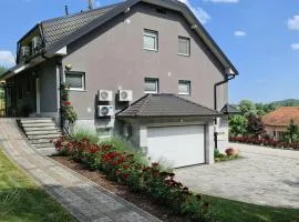 Apartments with a parking space Krapinske Toplice, Zagorje - 24225