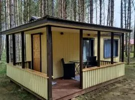 Reinholdi metsamaja