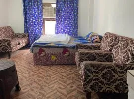 mount view guest house