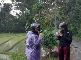 Moto driver tour Borobudur , Rice terace, sacred waterfall, hotel v destinaci Blaburan