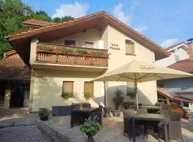 villa Pšenek