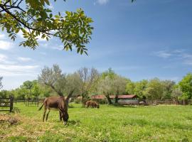 Green Ranch Stara Maslina, hotel in Kotor