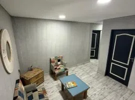 Departamentos Austral