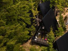 ZlatAir Black Boutique Chalets, hotel in Nova Varoš