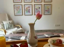 Art gallery near Pardubice