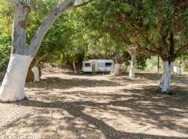 West nest caravan