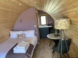Dingle Wild - Luxury Pod