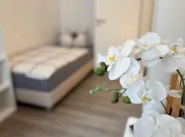 Apartment's am Luisenpark - Stadtnah - WLAN - Smart TV - Stellplatz