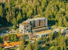 Peakture Hotel Balvanyos, hotel med parkering i B&aacute;lv&aacute;nyosf&uuml;rdő