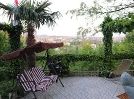 Picnic Hostel