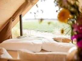 Ecohome Zilt - 8 pers - Zeezand Recreatie