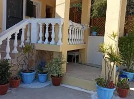 Dimitris House Petriti