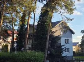 Apartament Błękitnik