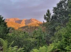 Owen Cottage Queenstown Genuine Comfort and Views