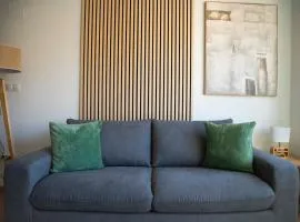 Modern flat for Pyrenees Adventures - Free Parking