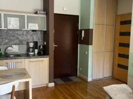 Apartament Bałtycka