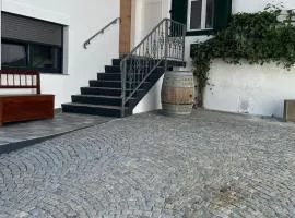 Haus Crisan- Garconniere