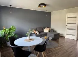Karusselli beach home, free parking