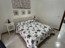 casa kiki