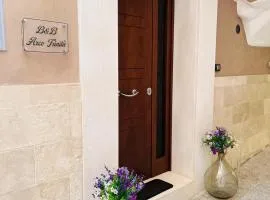 B&B Arco Trinità