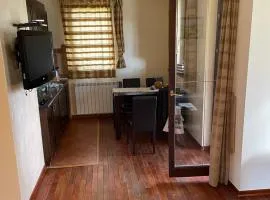 vila Family apartman 1