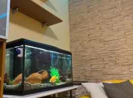 Appartamento di 60mq in centro sul corso principale "Nazario Sauro" di Giulianova lido ,a 200 m dal mare