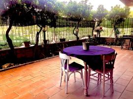 Miky House casa con giardino, hotelli Pescarassa