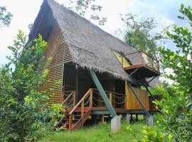 Amazon Uaturi Lodge