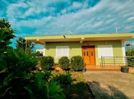 OLIVE Home