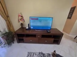 Apartamento Aconchegante e Completo em Joinville - Aluguel por Dia