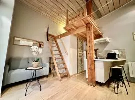 Agréable studio plein centre