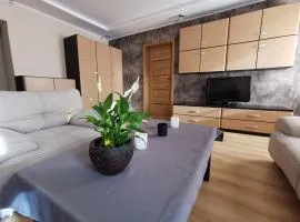 Apartament Cieplicki