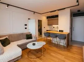 Luxury Apartment