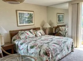 Maui Kaanapali Villas A414