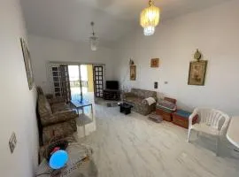 North coast Great nightlife shoreside Marina AlAlamain مارينا الساحل الشمالي