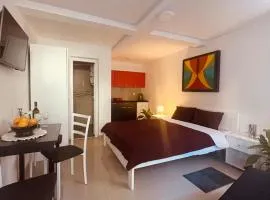 Vila Biser