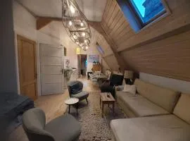 3rd floor Loft in Historical Dordrecht